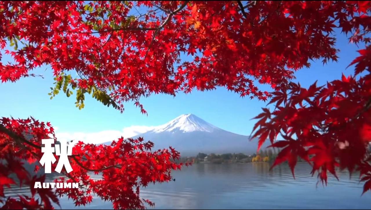 AUTUMN