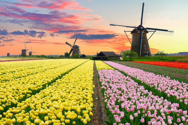 The Netherlands