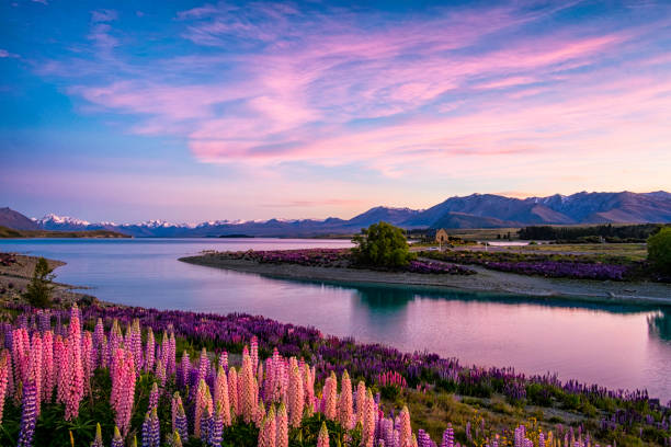 New Zealand